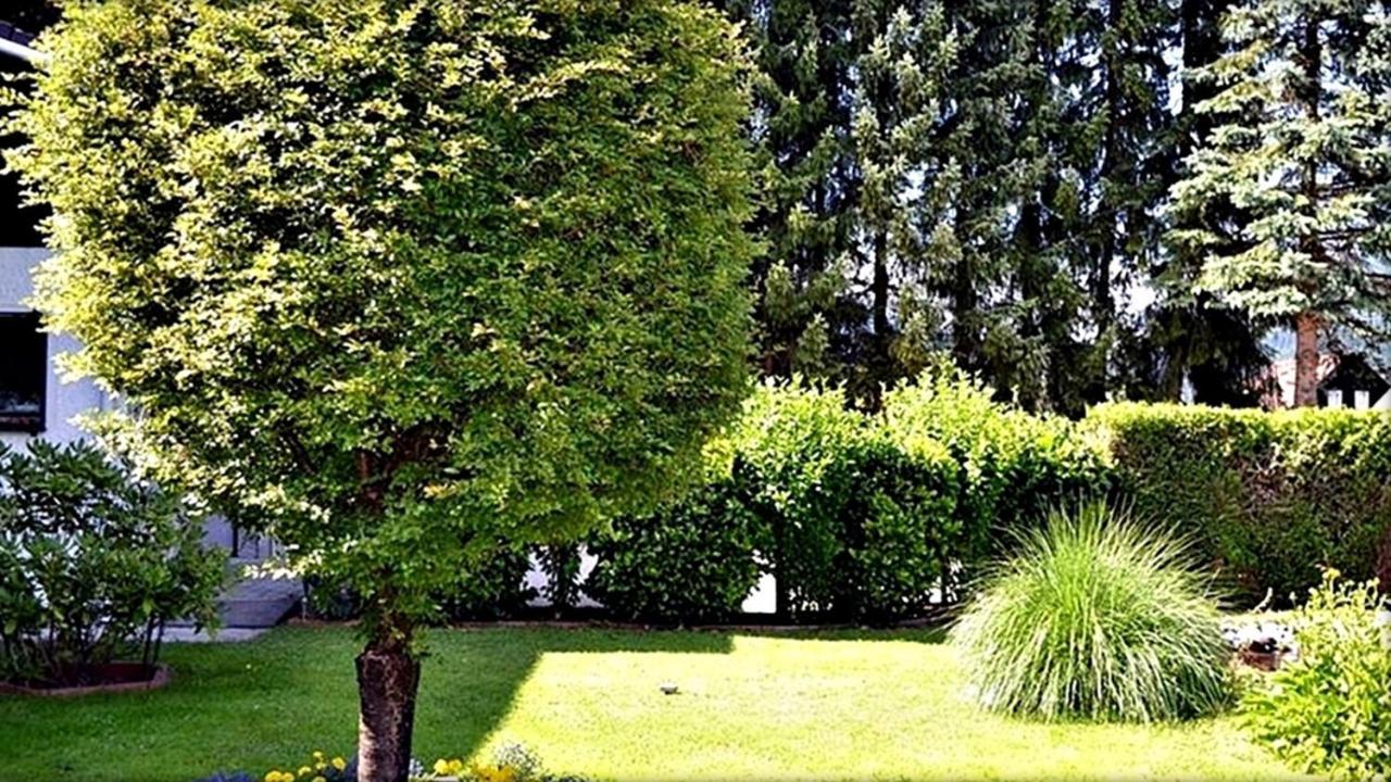 Ferienwohnung Neuhuber باد غويسرن المظهر الخارجي الصورة